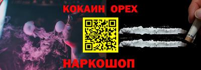 бошки Кингисепп
