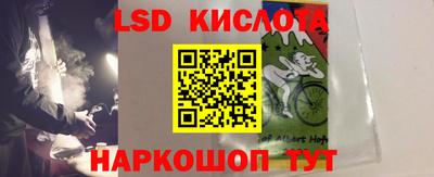 бошки Кингисепп