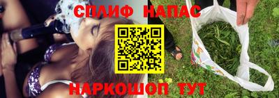 бошки Кингисепп