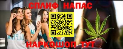 прущие грибы Кимры