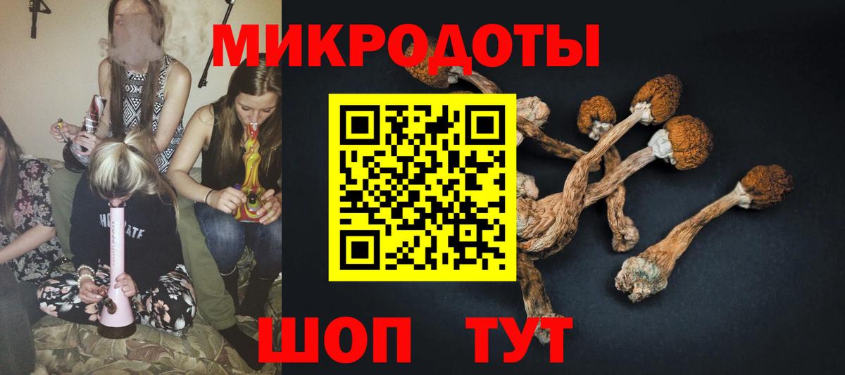 Галлюциногенные грибы мицелий Южноуральск