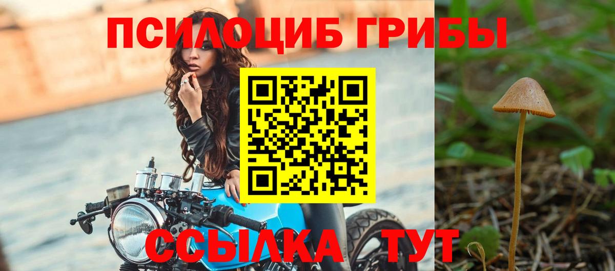 Южноуральск  Галлюциногенные грибы Cubensis  Вход с VPN  Галлюциногенные грибы MAGIC MUSHROOMS 